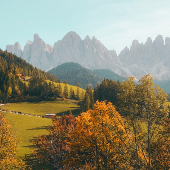 jammu kashmir trip About 06