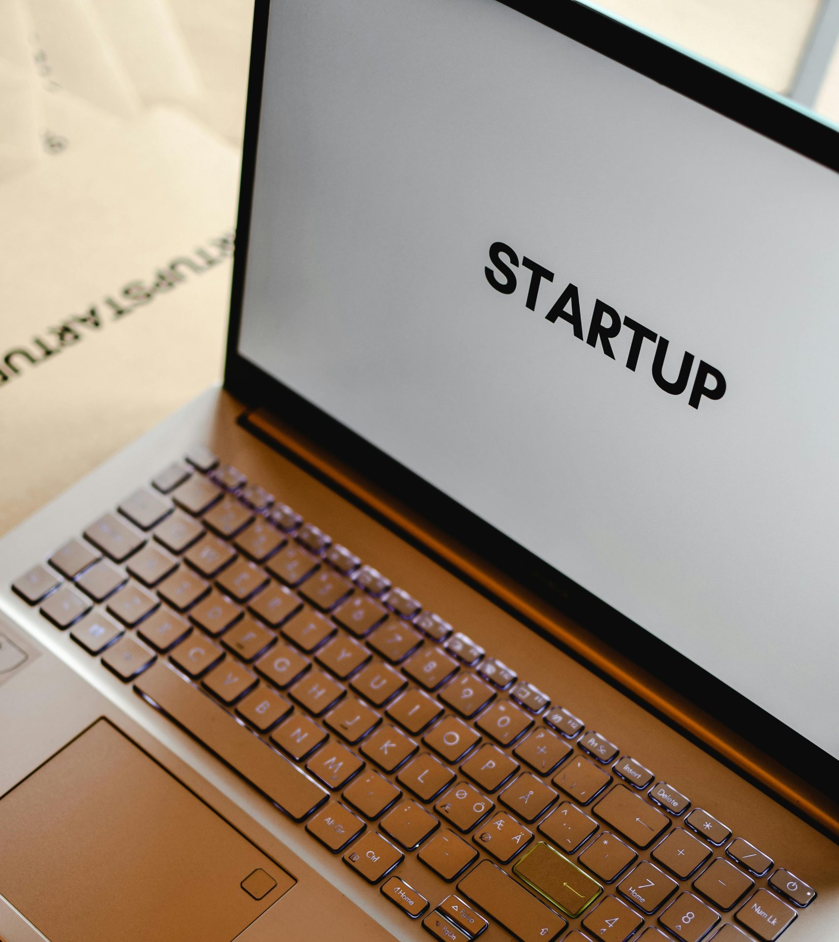 pexels photo 6956414 6956414